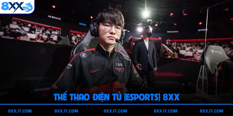 Thể thao điện tử (Esports) - lĩnh vực mới của 8XX
